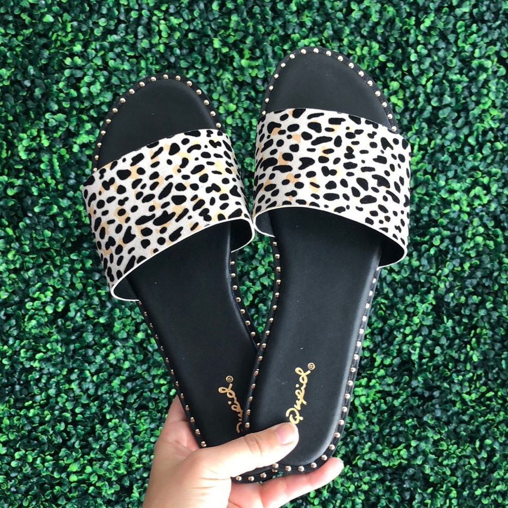 Leopard Qupid flat sandals